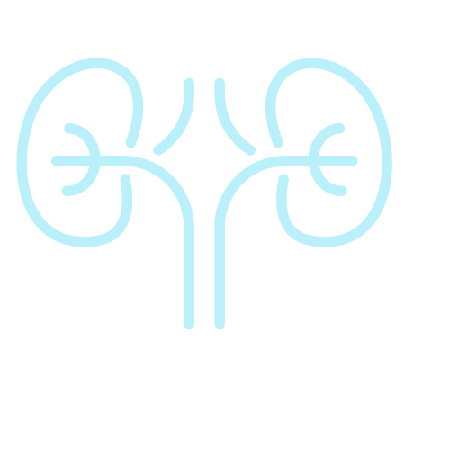 Nephrology
